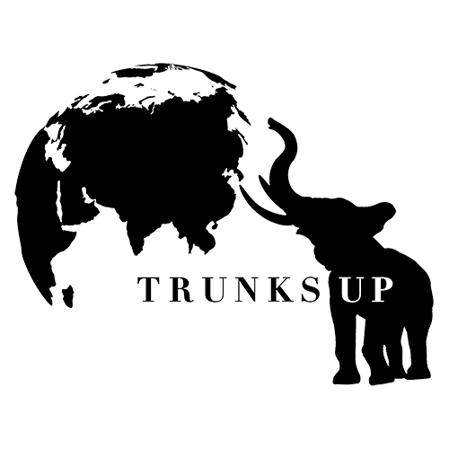 Trunks Up Foster Program 