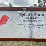Rylan Sears