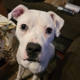 Luna Graham